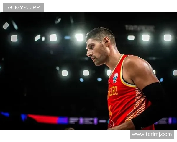 尼古拉武切维奇的艺术之旅与创作探索的深度解析