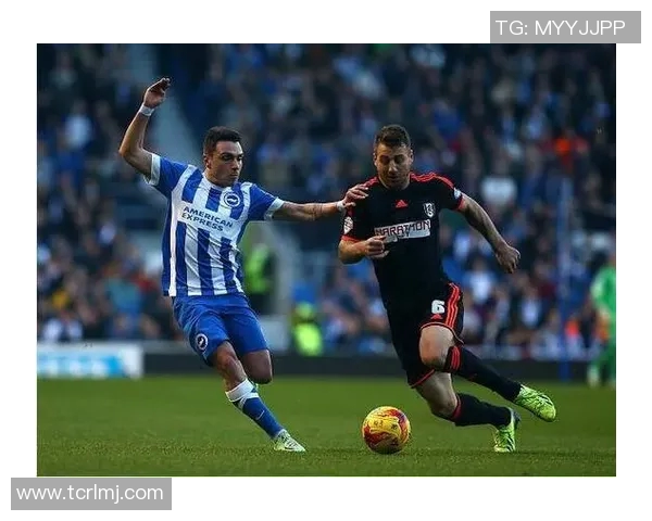 布莱顿与加的夫城激战正酣双方争夺关键积分的精彩对决