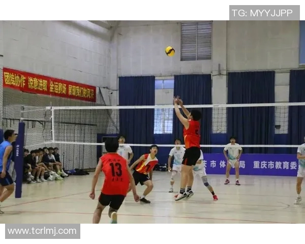 重庆排球队在全国排球比赛经验排行榜中荣获第六名的辉煌成就