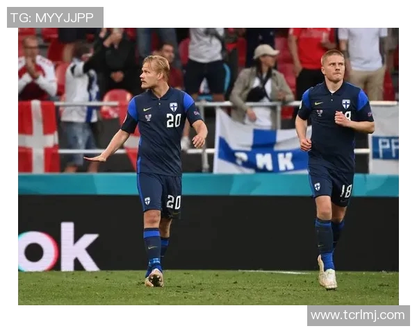 亚美尼亚与芬兰足球赛精彩直播全程回顾与分析