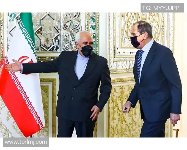 俄罗斯与伊朗男排激战正酣谁能在这场较量中夺得胜利